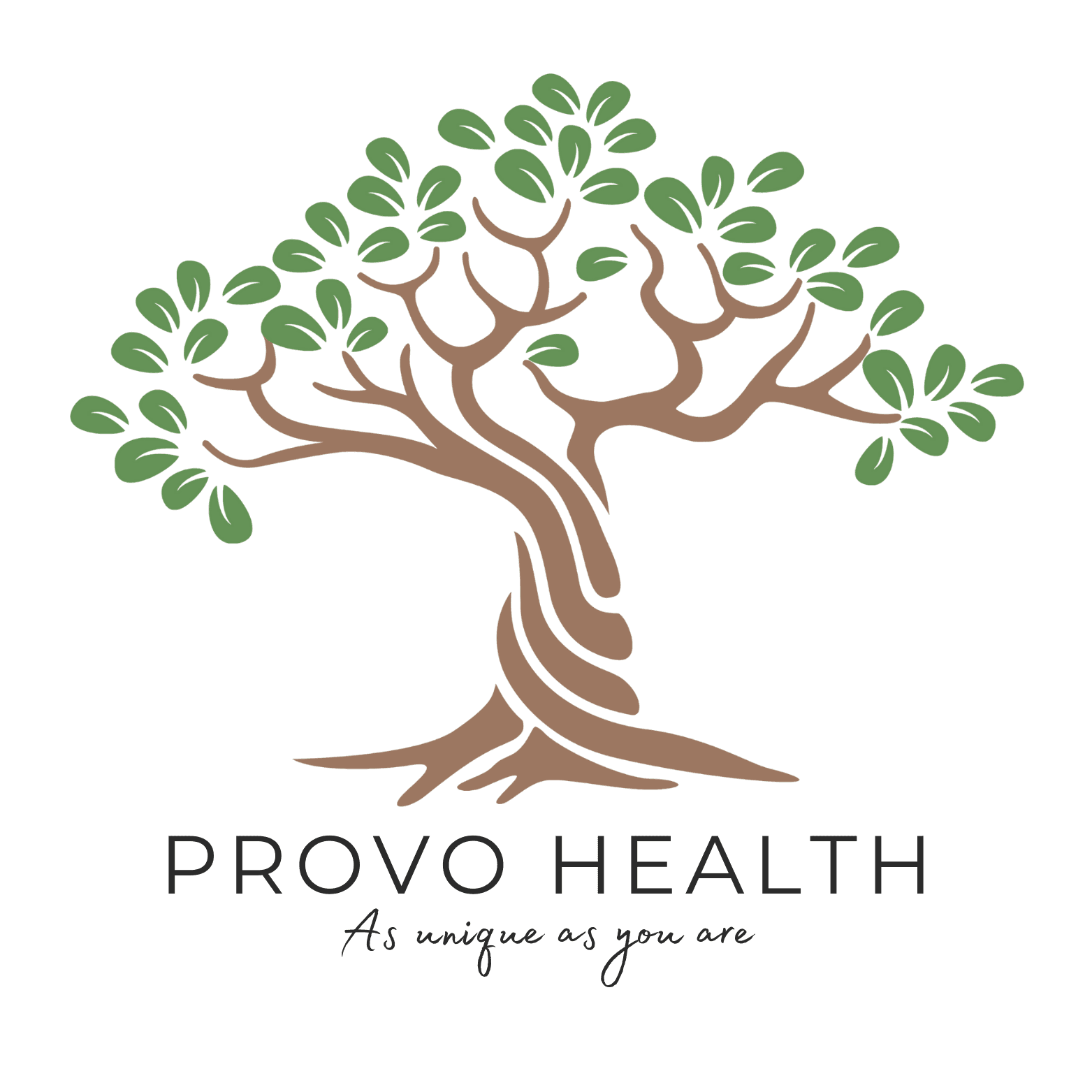Provo Health Logo